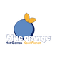 Blue Orange